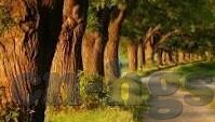 足球比分直播系统搭建-从零开始搭建足球比分直播系统，技术架构、功能实现与商业变现全解析