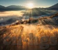 足球和篮球比分-足球与篮球，比分背后的激情与策略大揭秘